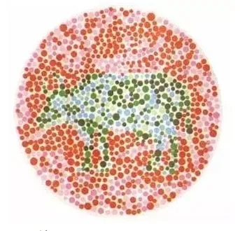 色盲测试图牛和兔子图片